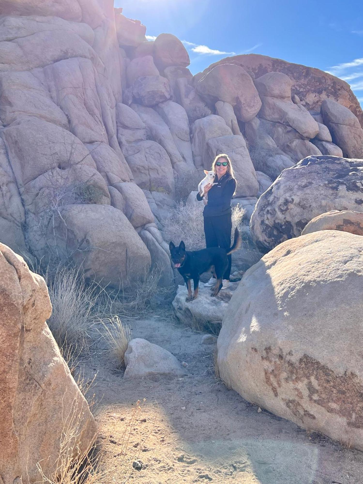 The Joshua Tree House Villa Eksteriør billede